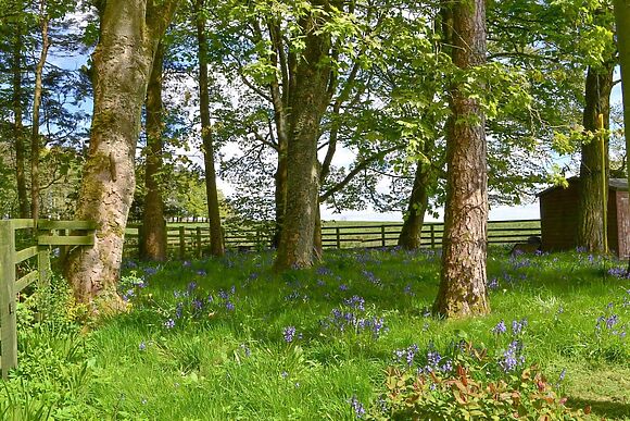 Glendale Mews at Glendale