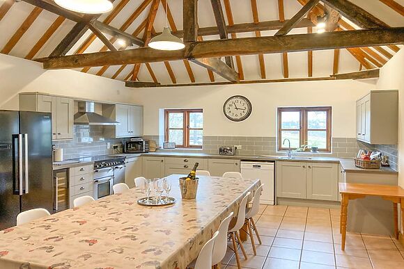 Hop Bine in Bromyard