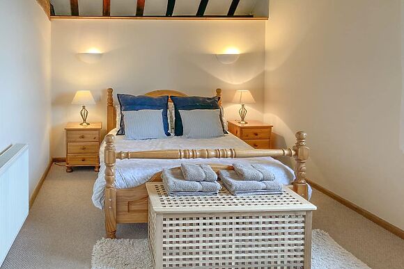 Hop Bine in Bromyard