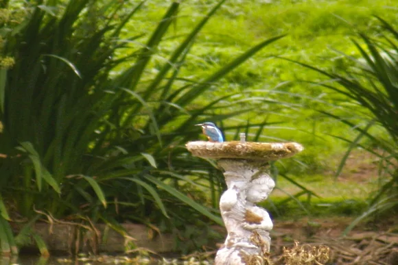 Kingfisher Lodge at South View Lodges