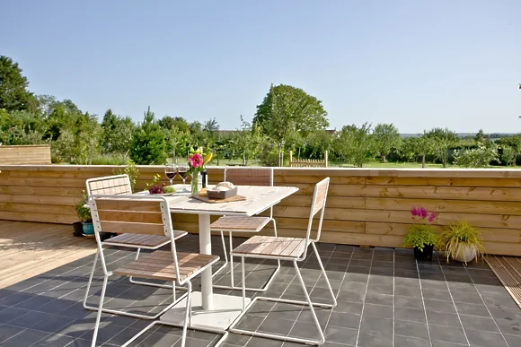 Cheddar Pink at Strawberryfield Park