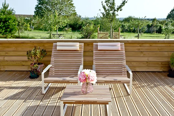 Cheddar Pink at Strawberryfield Park