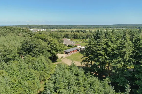 Haldon Forest Lodge