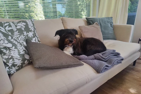 The Retreat at Kentisbury Grange