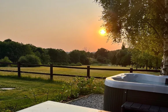 Chestnut at 6 Fingle Glen Lodges