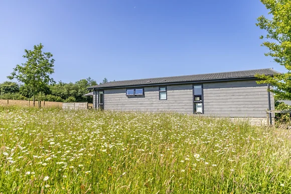 Poppy at 5 Roadford Lakes Lodges