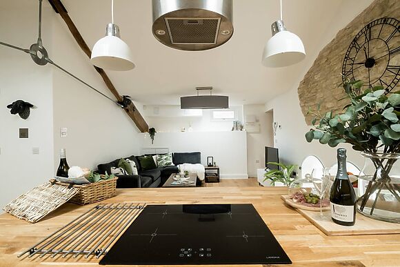 Luxury Penthouse