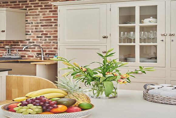 Coastal Manor Retreat