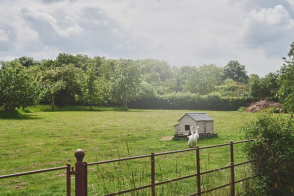 Apple Tree Cottage