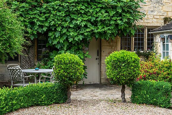 Fig Tree Cottage