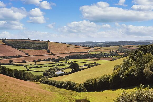 Exe Valley Barn