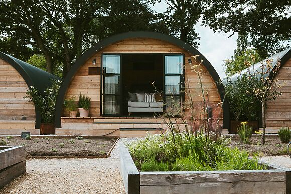 Sage Pyggy