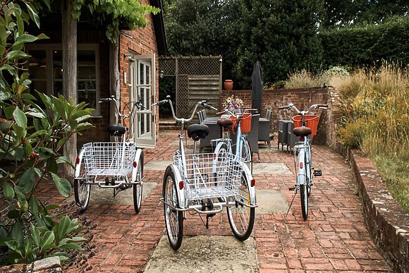 Lavender Pyggy