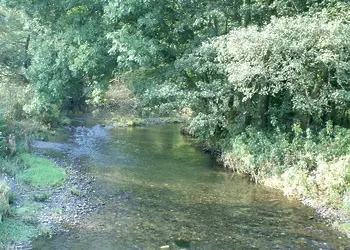 Aberdwylan Holiday Park, Carmarthenshire