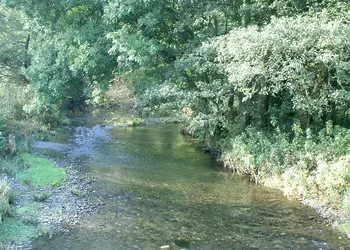 Aberdwylan Holiday Park, Carmarthenshire