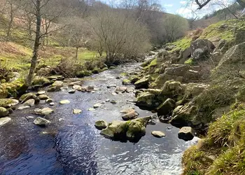 Ancroft Country Park, Berwick upon Tweed