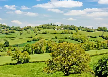 Andrewshayes Orchard Retreat, Axminster