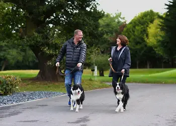 Allerthorpe Country Park, Pocklington