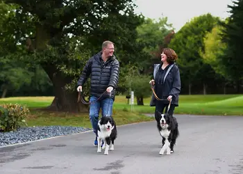 Allerthorpe Country Park, Pocklington