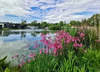 Allerthorpe Country Park, Pocklington