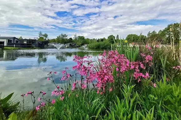 Allerthorpe Country Park, Pocklington