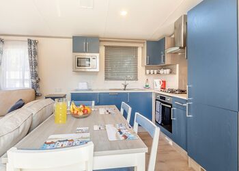 Willow 2 - Andrewshayes Holiday Park, Axminster