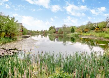 Lakeside Lodge - Anglesey Lakeside Lodges, Anglesey