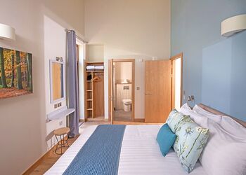 Silver Birch 2 WF (Pet) - Ardgartan Argyll Lodges, Arrochar, Argyll and Bute