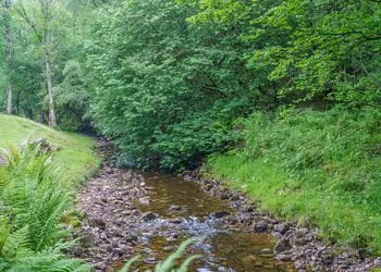 Augill Beck Holiday Park, Kirkby Stephen