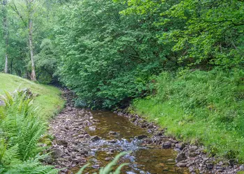 Augill Beck Holiday Park, Kirkby Stephen