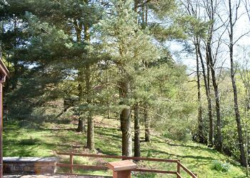 The Pines3 Bed Hot Tub Lodge - Augill Beck Holiday Park, Kirkby Stephen
