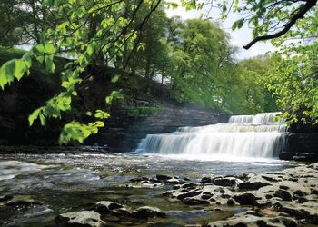 Aysgarth Lodges photo 1