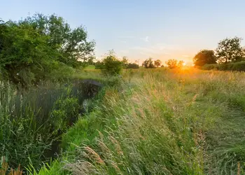 Bowbrook Lodges, Pershore