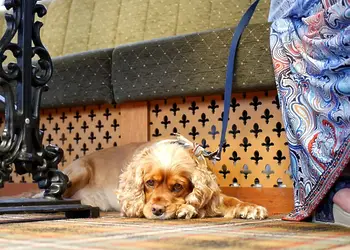 Burton Constable Holiday Park, Sproatley