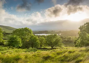 Brynteg Country and Leisure Retreat, Llanrug