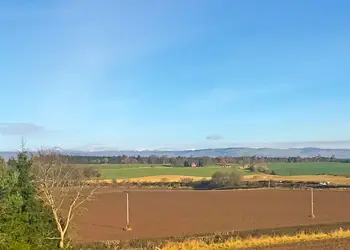 Beech Hedge, Cargill