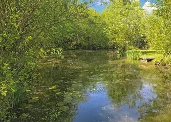 Beechwood Park, Elvaston