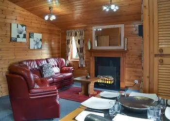 Swallow - Beechwood Park, Elvaston