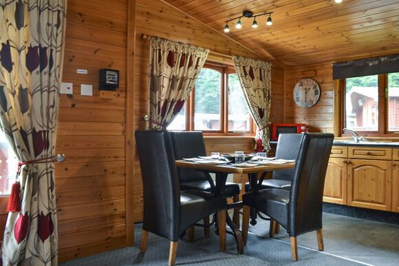 Swallow - Beechwood Park, Elvaston