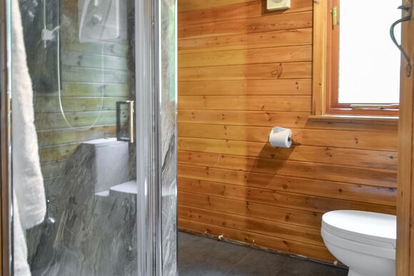 Woodpecker - Beechwood Park, Elvaston