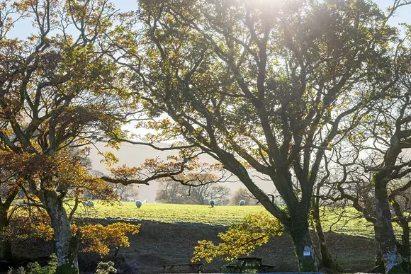 Beddgelert Snowdonia, Beddgelert, Gwynedd