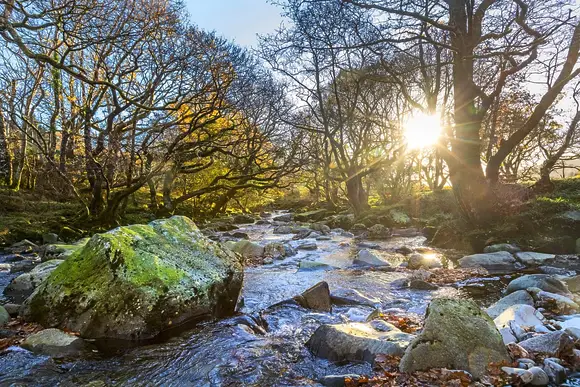 Beddgelert Snowdonia Cabins