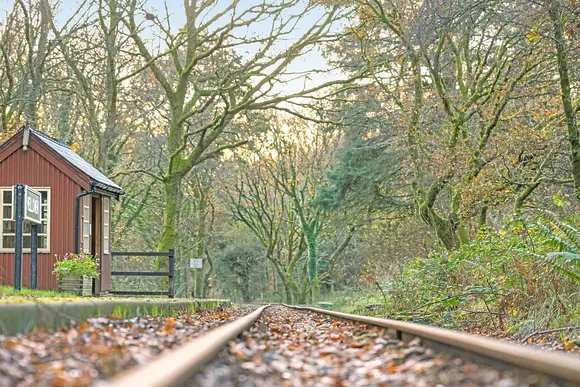 Beddgelert Snowdonia Cabins