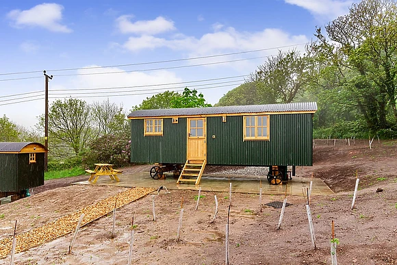 Wheal Shepherd Hut 