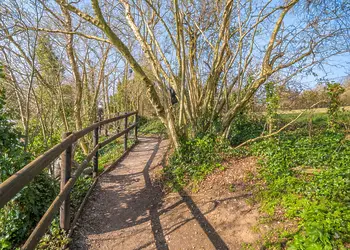 Bucklegrove Holiday Park, Cheddar,