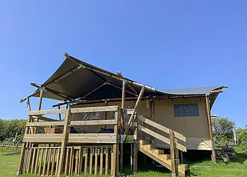 Safari 5 