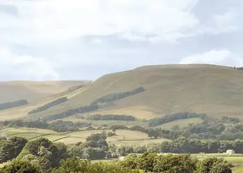 The park setting<br />