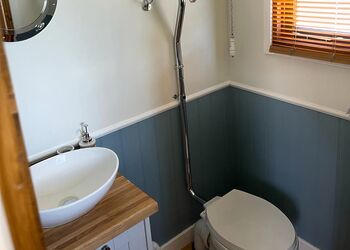 Herdwick - Bainbridge Ings, Hawes,