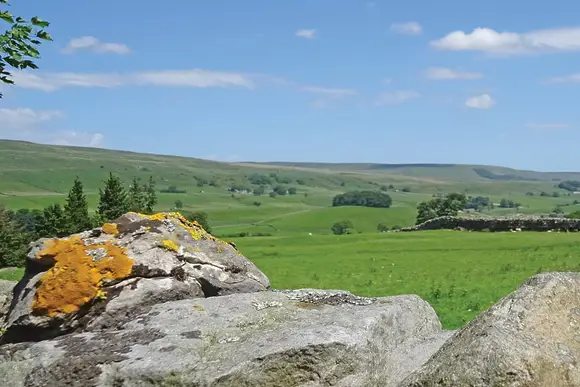Bainbridge Ings, Hawes,