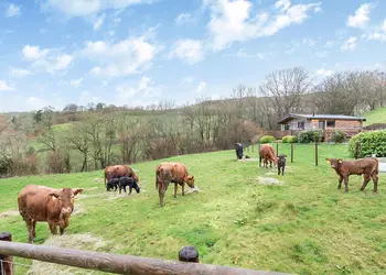 Black Hall Lodges, Knighton